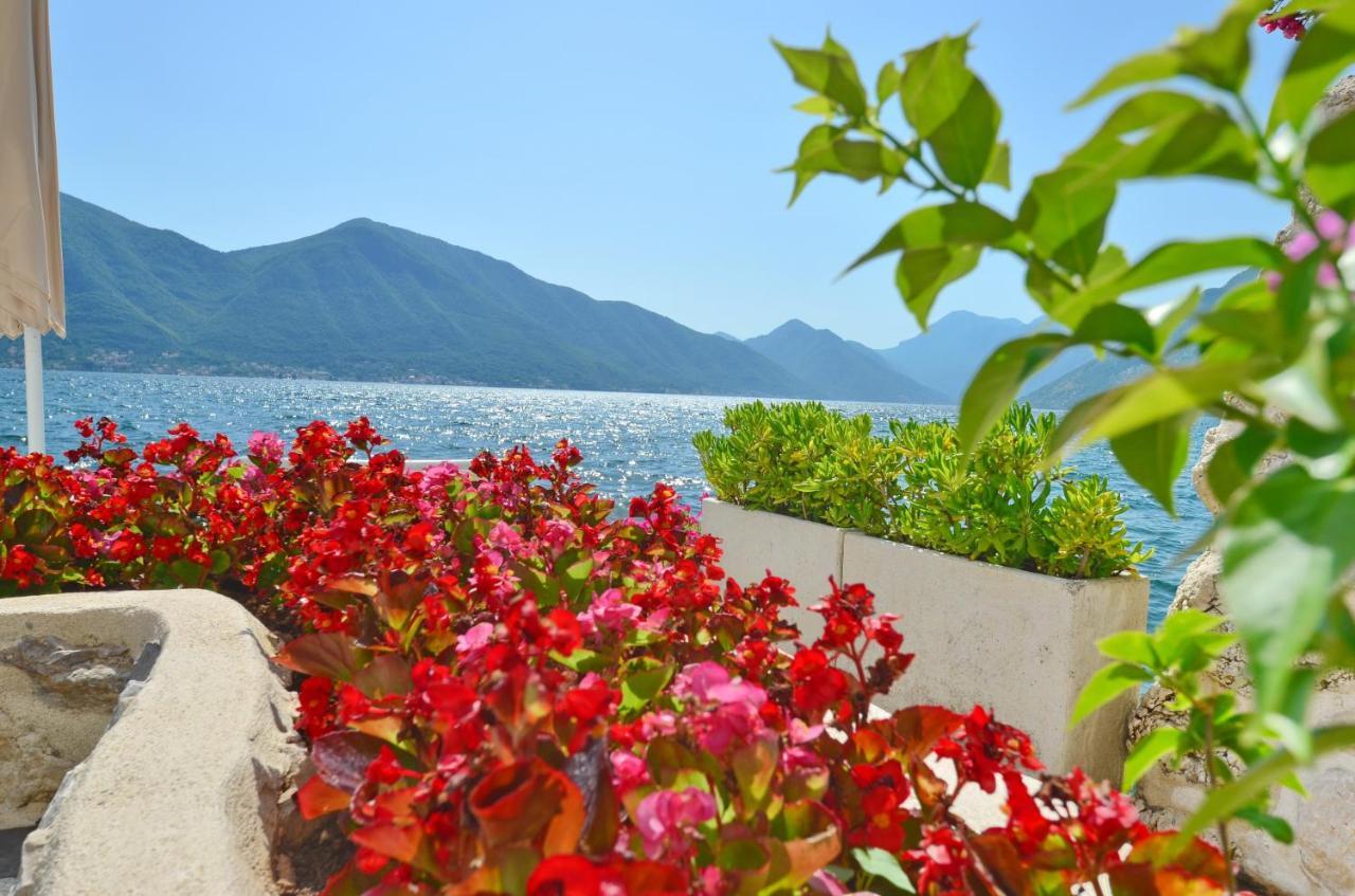 Apartament Tau Mir I Dobro Kotor Zewnętrze zdjęcie
